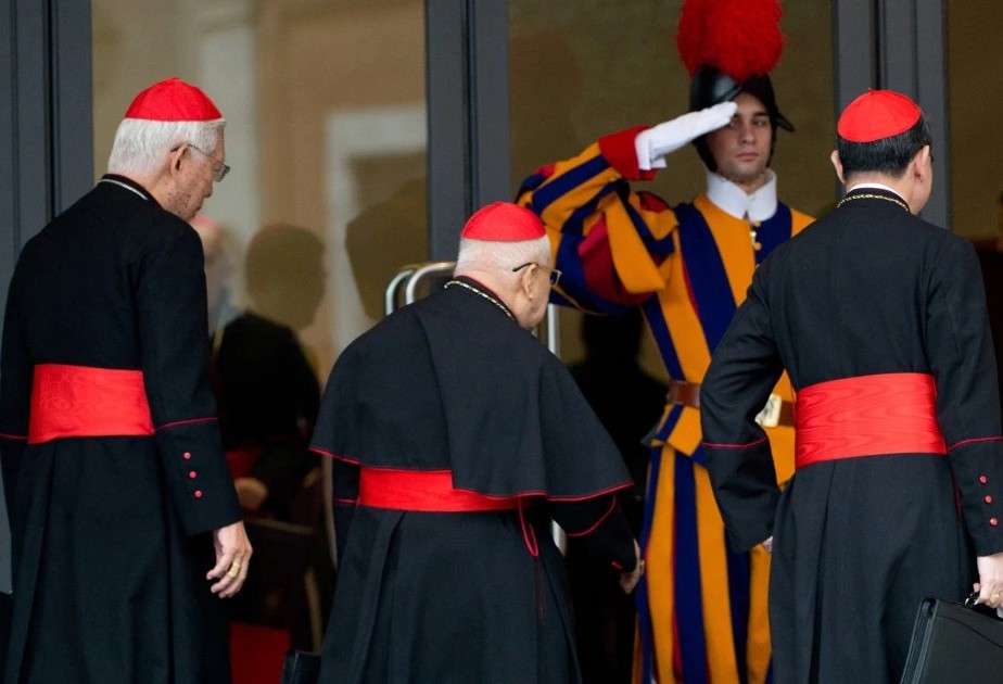 Accademia Bonifaciana - Dodici Cardinali elettori “Bonifaciani”, in Conclave per eleggere il nuovo Papa