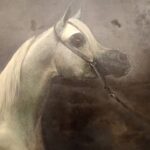 Accademia Bonifaciana - Mostra Michi Grassi in Campidoglio