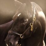 Accademia Bonifaciana - Mostra Michi Grassi in Campidoglio