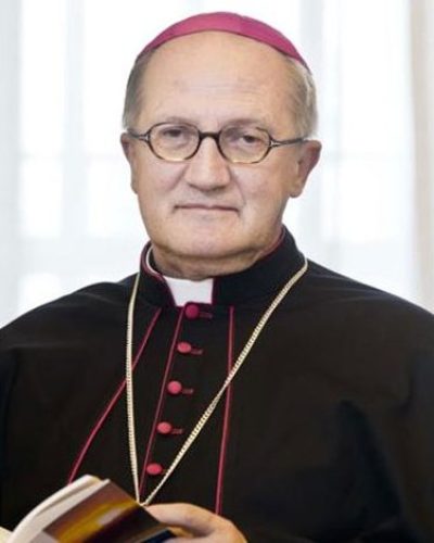 Presidente del Comitato Scientifico